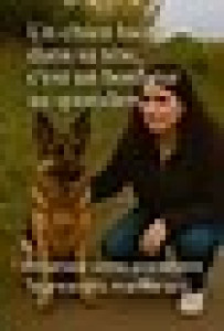 Photo de galerie - Dressage