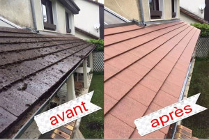 Photo de galerie - Couverture - Toiture