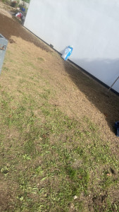 Photo de galerie - Tonte de pelouse