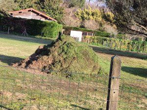 Photo de galerie - Évacuation déchets - Gravats