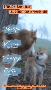 Photo de galerie - Garde animaux