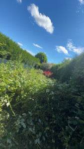 Photo de galerie - Avant