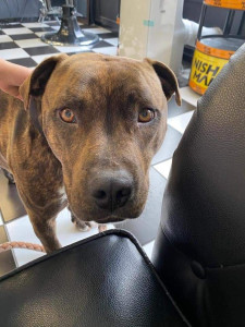 Photo de galerie - Garde staff