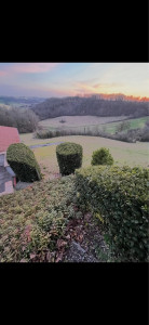 Photo de galerie - Tonte de pelouse - Débroussaillage