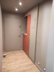 Photo de galerie - Mise en peinture d'une entrée avec une peinture velours teinté en savon noir pour se marier au placard terracotta 