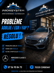 Photo de galerie - RÉSOLUTION PROBLÈME EGR/FAP/ADBLUE