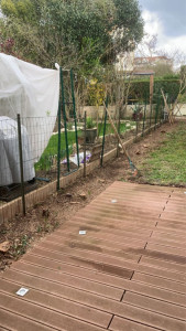 Photo de galerie - Elagage et coupe d'arbres