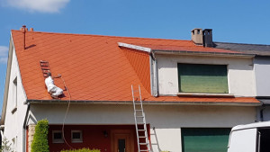 Photo de galerie - Demoussage peinture