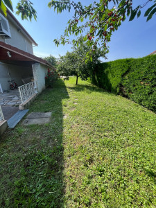 Photo de galerie - Tonte de pelouse - Débroussaillage