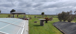 Photo de galerie - Tonte pelouse 