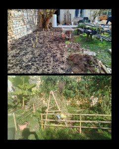 Photo de galerie - Création d un potager