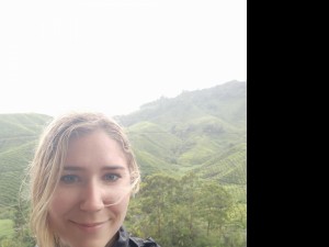 Photo de galerie - Livraison de courses