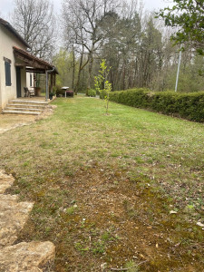 Photo de galerie - Tonte de pelouse - Débroussaillage