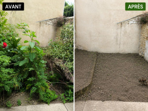 Photo de galerie - Transformation d’un jardin envahi