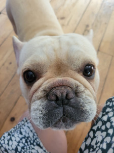 Photo de galerie - Petit amour en pension 