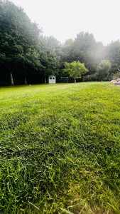 Photo de galerie - Travail réalisé en mai dernier 