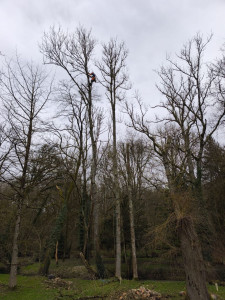 Photo de galerie - Jardinier