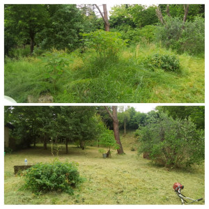 Photo de galerie - Débroussaillage, Tonte 