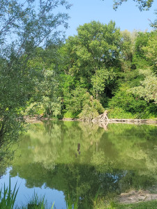 Photo de galerie - J'aime la nature êtes les plantes. 
