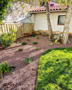 Photo de galerie - Conception d'un massif paysager