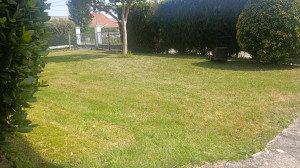 Photo de galerie - Le jardin après 