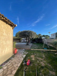 Photo de galerie - Taille de haies et d'arbustes