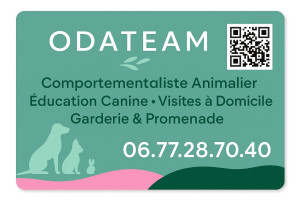 Photo de galerie - Carte de visite 