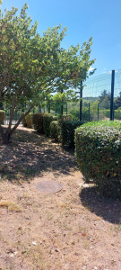 Photo de galerie - Tailles  de haies et d arbuste               