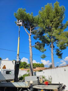 Photo de galerie - Pendant Abbatage 