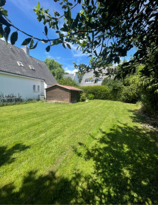 Photo de galerie - Tonte de pelouse 