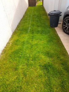 Photo de galerie - La tonte 