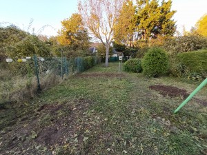 Photo de galerie - Elagage et coupe d'arbres