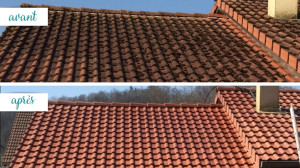 Photo de galerie - Demoussage et nettoyage toiture et hydrofuge toiture produit sang chlore ni javel