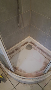 Photo de galerie - Nettoyage à fond 