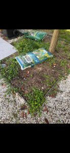 Photo de galerie - Jardinier