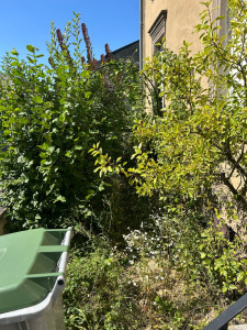 Photo de galerie - Avant passage 