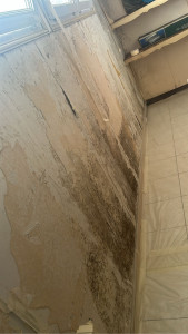 Photo de galerie - Peinture - Tapisserie