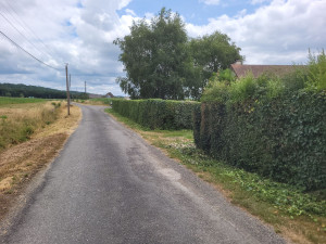 Photo de galerie - Suite 