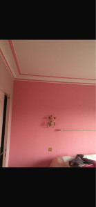 Photo de galerie - Mise en peinture des murs et filet de peinture rose sur moulure staff