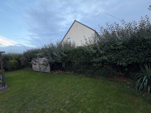 Photo de galerie - Taille de haies et d'arbustes