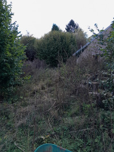 Photo de galerie - Débroussaillage d’un terrain en friche avant 