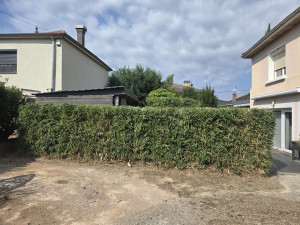 Photo de galerie - Taille haie 