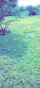 Photo de galerie - Debrousaillage et tonte
