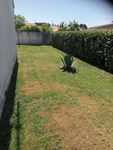 Photo de galerie - Jardinier