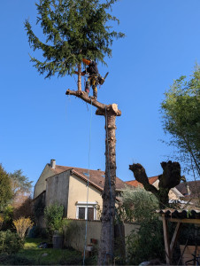 Photo de galerie - Démontage 