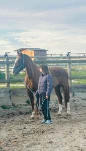 Photo de galerie - TAP 