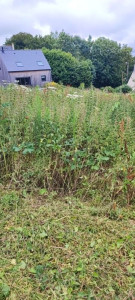Photo de galerie - Haute herbes 