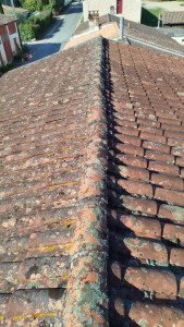 Photo de galerie - Démoussage de toiture avant brossage