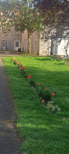 Photo de galerie - Jardiner tondre 