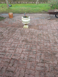 Photo de galerie - Tonte de pelouse - Débroussaillage